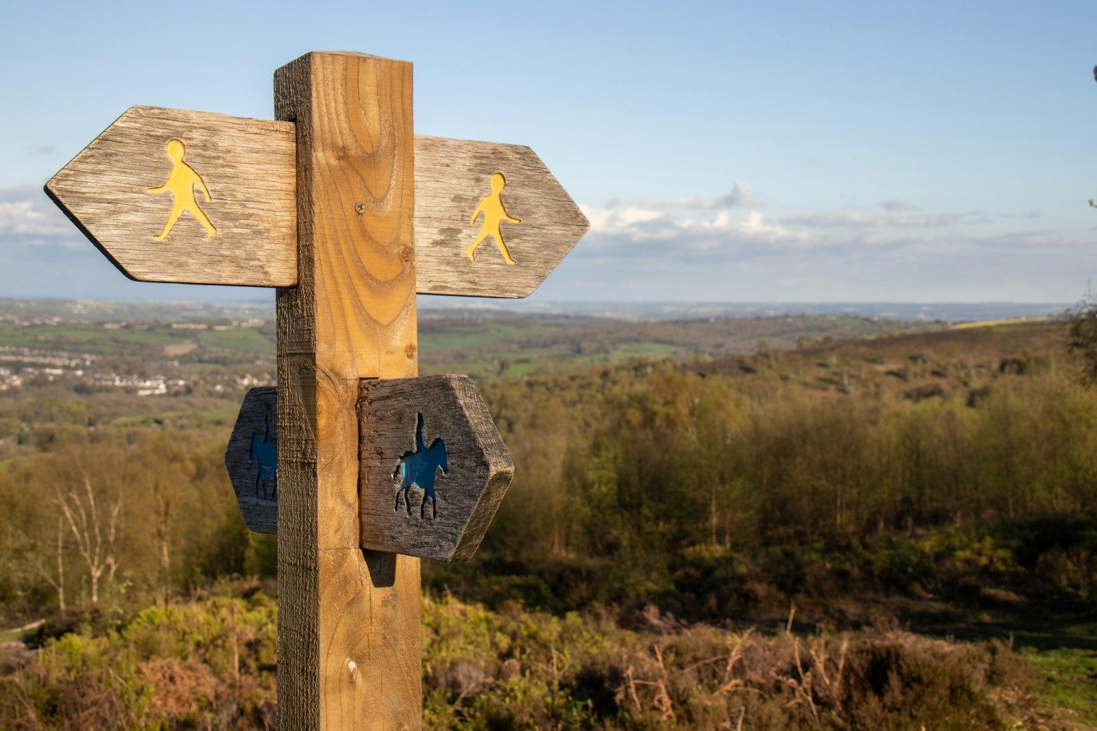 Wooden directional signpost with multiple arrows indicating different footpath and bridleway routes through a natural landscape