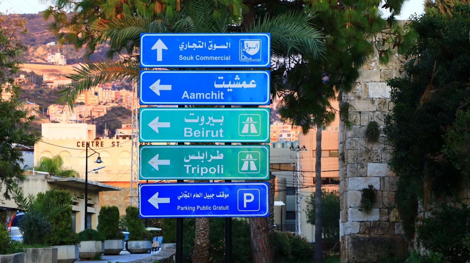 Multiple blue directional road signs pointing in different directions against a clear sky